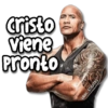 MEMES Random 7.0 🍁🌈 20