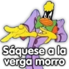 Sâquese a la
verga morro