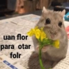Animales Facheritos 11
