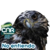 SOMOS CAR DE CORAZÓN 💚 10