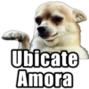 📒 Memes pa usté 😎👌🏻 13
