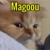 Magoou