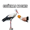 Inglés y animales 7