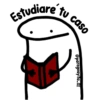 🌈Flork Mixteadito 2🧦 13