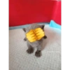 Peek a boo animals 🐶🐱🦊🐻🐯🦁🦈 19