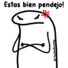 🌈Flork Mixteadito 2🧦 9