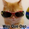 Wey Que Oso @rii