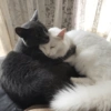 This could be us 6
