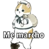 Gatitos 5