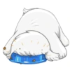 Cute dog 8