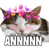 Gatitos amorosos. 5