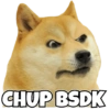 Dogesh & Cheemas 20