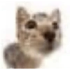 Gatitos mood 15