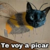 🌈 Gatitos para responder 5 🐈 6