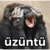 üzüntü