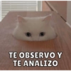 TE OBSERVO Y
TE ANALIZO