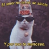 😎🔥 Memes pa' ligar 2 🔥😏🥵 18