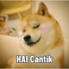 HAI Cantik