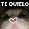 Animalitos 9