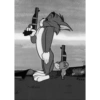 Tom and jerry 12