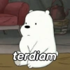terdiam