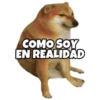 PERRO MUSCULOSO 🇦🇷 16