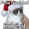 Feliz Navidad Imbécil