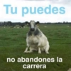 Memestickers Mix 😎🤘 10