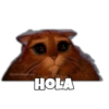 Gato con Botas Random 7