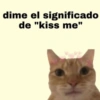 Michis Para Contestar 🐈‍⬛ 14