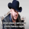 Usted callese el perro osico pinche chamaco cagado