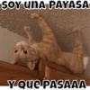 SOY UNA PAYASA
Y QUE PASAAA