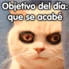 🤖Memes Diversos🐺 8