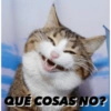 Gatitos tiernos✨ 6