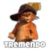 Gato con Botas Random 14