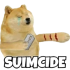 Dogesh & Cheemas 7