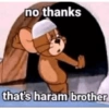 Selamat 11