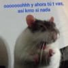 Animales Facheritos 6