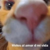 Memestickers Mix 😎🤘 6