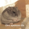 Otro apestoso día