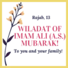 Rajab, 13 WILADAT OF IMAM ALI (A.S.) MUBARAK! To you and your family!