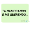 MENSAGENS DO ZAP 😼 9