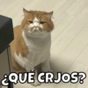 ¿QUE CRJOS?