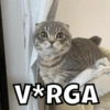 VARGA