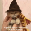 Michis Para Contestar 🐈‍⬛ 12