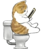 Gatitos 11