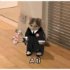 Gatitos 5