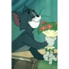 Tom and jerry 7