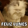 FELIZ LUNES