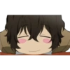Bungo Stray Dogs 30